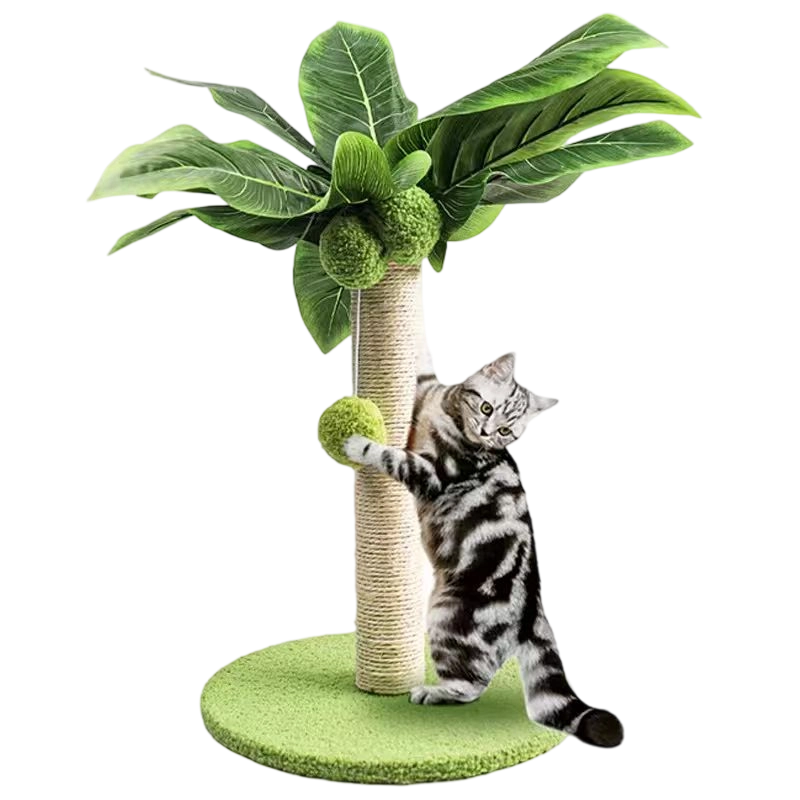 Jouets pour animaux de compagnie