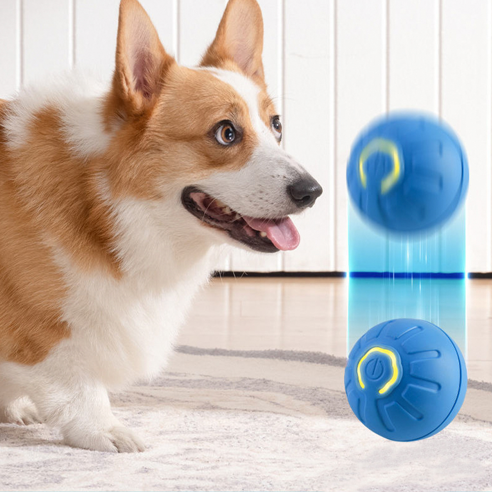 Boule roulante active automatique de boule de chien de télécommande Durable pour des chiens