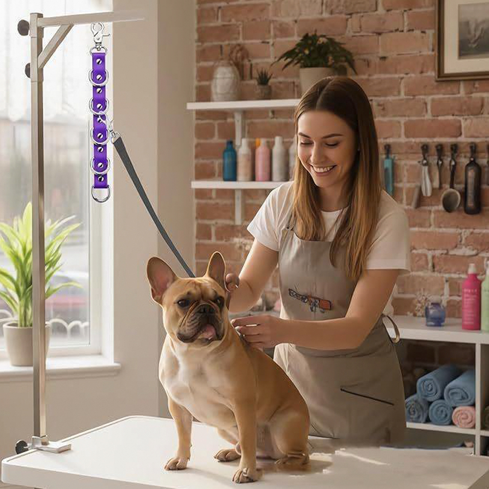 Boucles d'extension de toilettage pour chiens, sangles de Table, laisse pour Table de bain