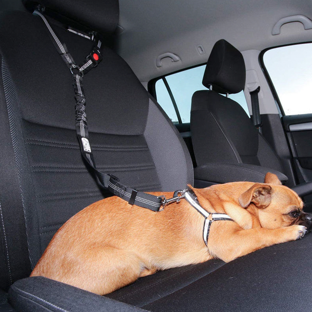Laisse réfléchissante de ceinture de sécurité de voiture d'animal familier de polyester durable Anti-Rush
