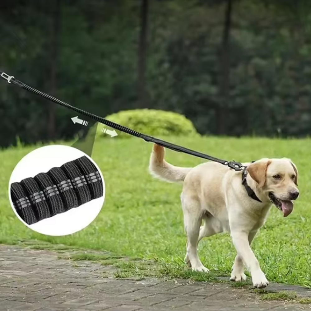 Laisse de sécurité en nylon réfléchissant, tampon élastique, siège de voiture solide pour chien