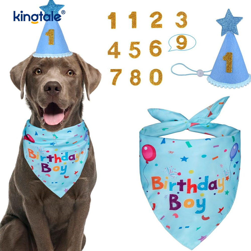 Ensemble bandana d'anniversaire pour animaux de compagnie