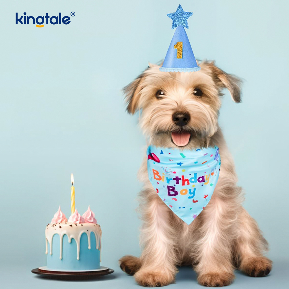 Ensemble bandana d'anniversaire pour animaux de compagnie
