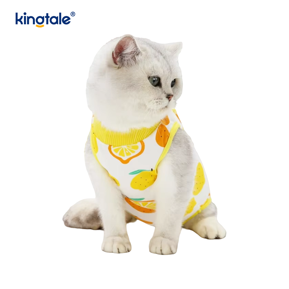 Vêtements de récupération pour chiens