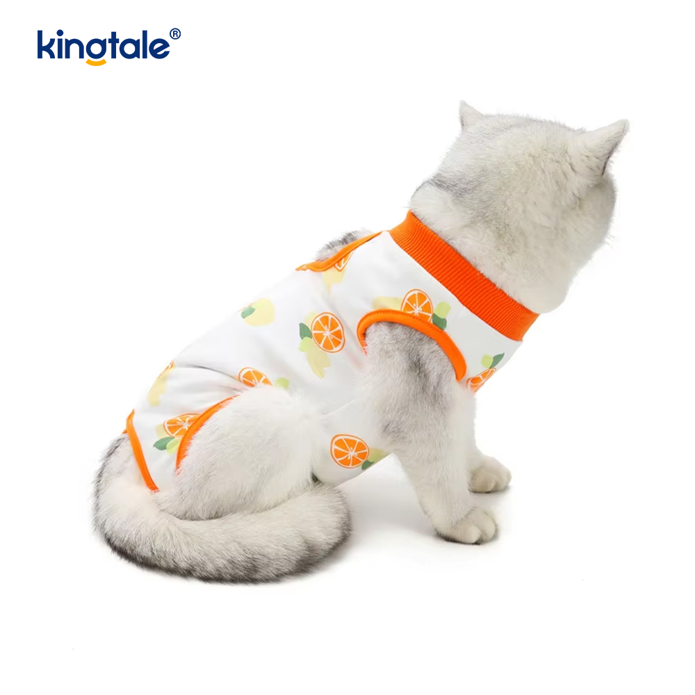 Vêtements de récupération pour chiens