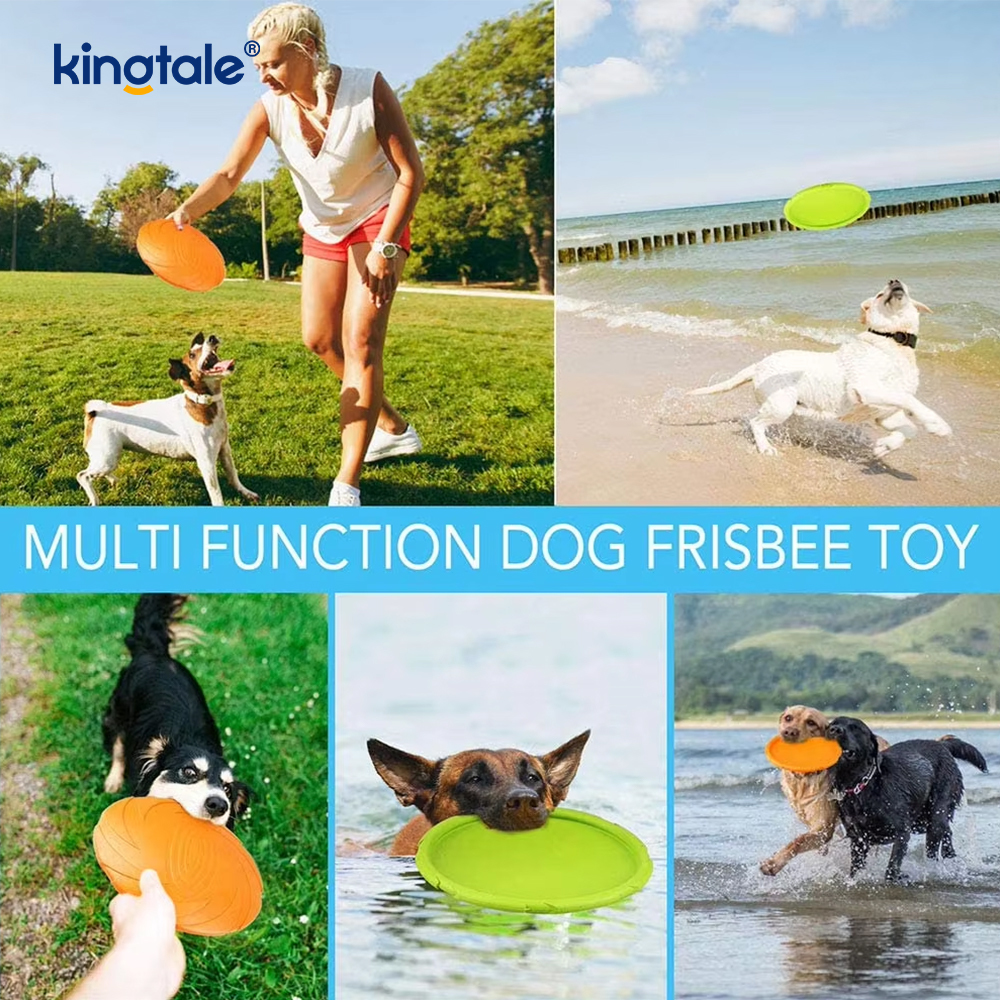 Frisbee pour animaux de compagnie