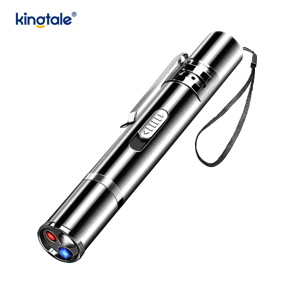 Jouet pour chat laser rechargeable par USB