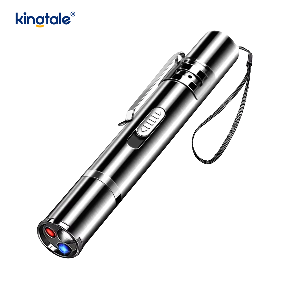 Jouet pour chat laser rechargeable par USB
