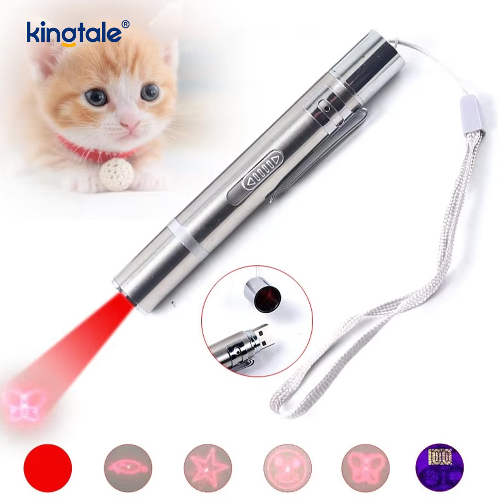 Jouet pour chat laser rechargeable par USB