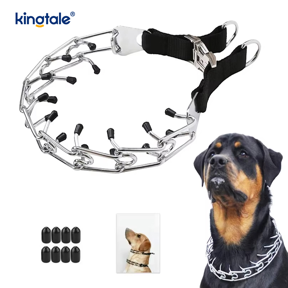 Collier à griffes pour chien avec boucle en métal