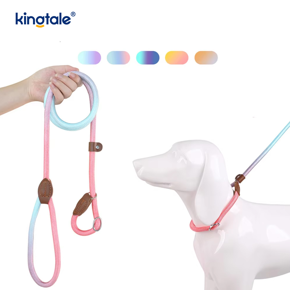 Laisse pour chien Macarons