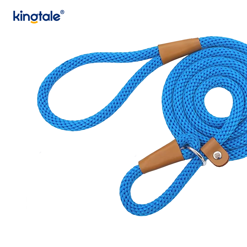 Laisse pour chien en nylon tissé