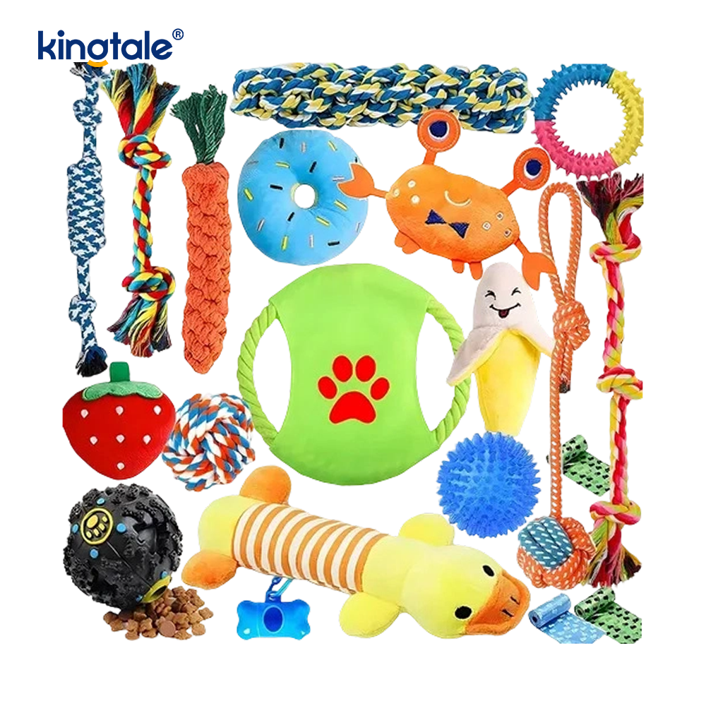 Ensemble de jouets en corde pour animaux de compagnie, 20 pièces, pour la dentition et le plaisir en intérieur