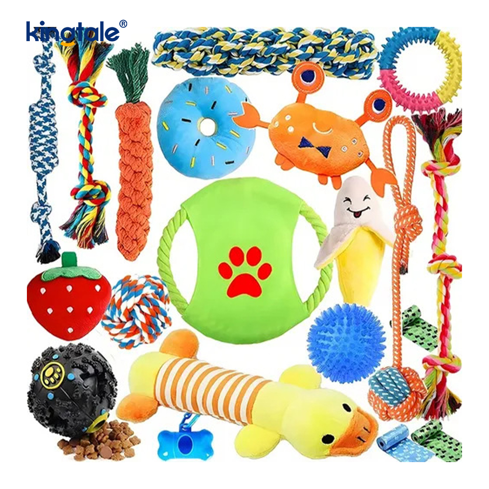 Ensemble de jouets en corde pour animaux de compagnie, 20 pièces, pour la dentition et le plaisir en intérieur