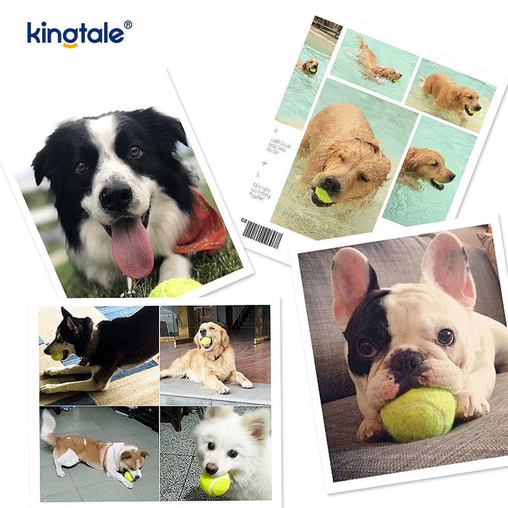 Jouet de Tennis pour animaux de compagnie, Durable et résistant aux morsures, pour exercices de mastication interactifs