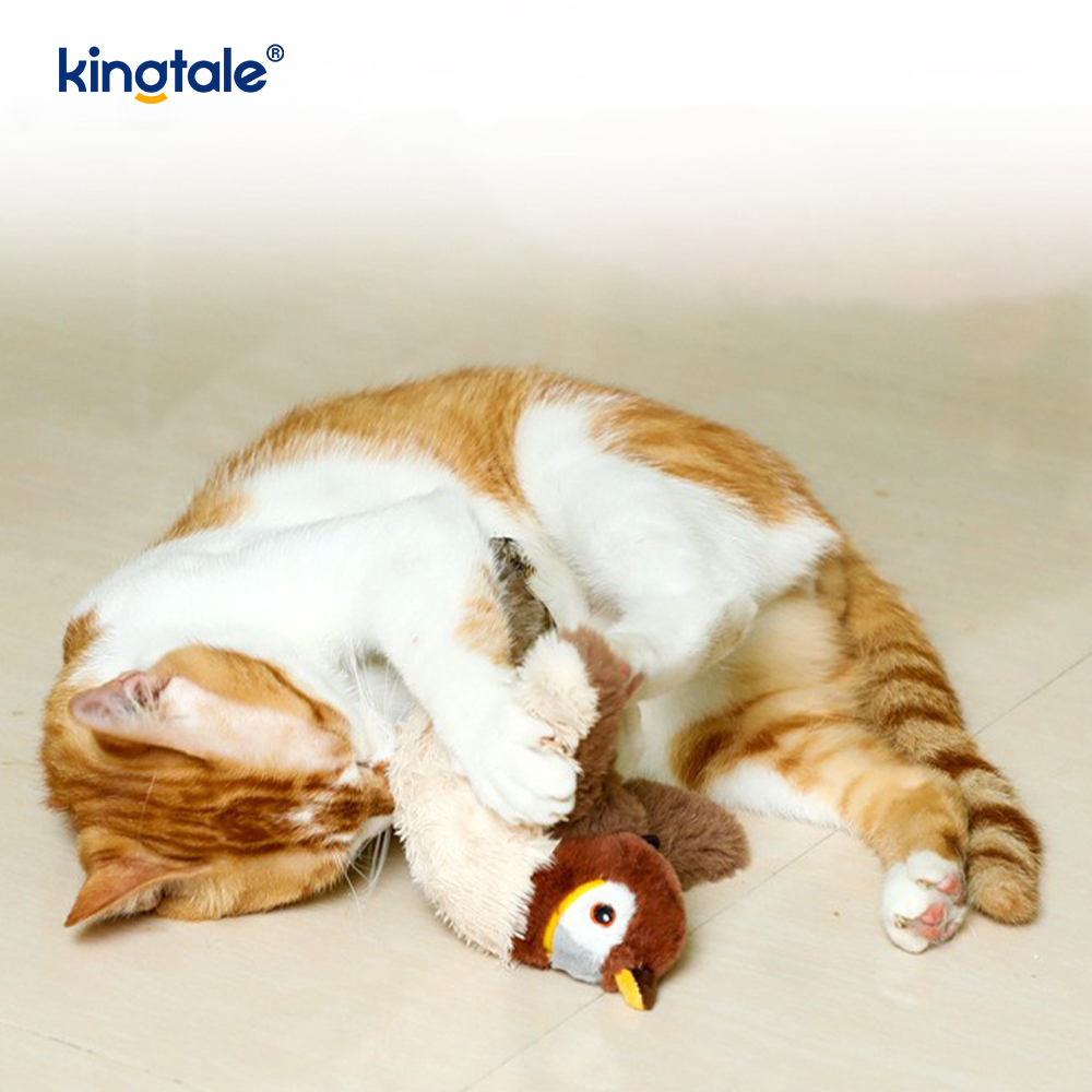 Jouet en peluche pour animaux de compagnie, simulation de moineau, pour toutes les races, chat, jouets à herbe à chat, moineau