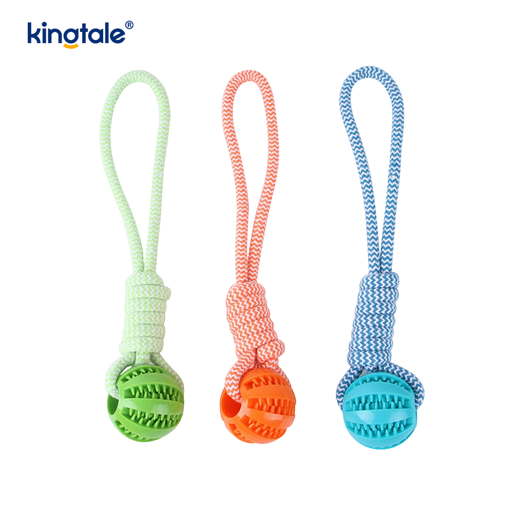 Balle de friandises en caoutchouc à mâcher extractible pour chien, jouet pour l'intérieur et l'extérieur