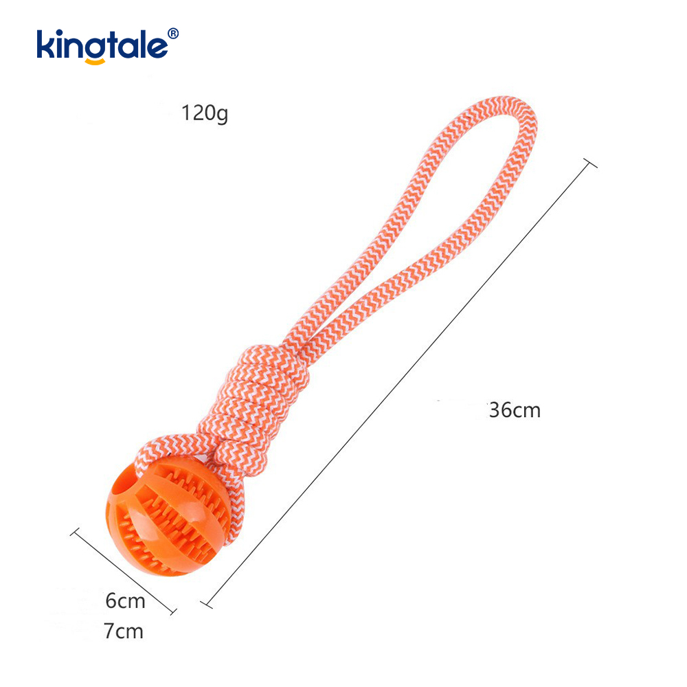 Balle de friandises en caoutchouc à mâcher extractible pour chien, jouet pour l'intérieur et l'extérieur