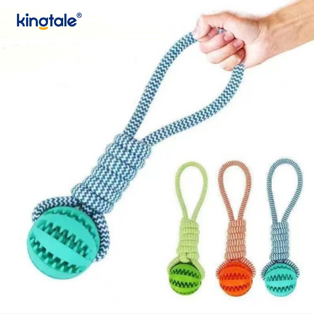 Balle de friandises en caoutchouc à mâcher extractible pour chien, jouet pour l'intérieur et l'extérieur