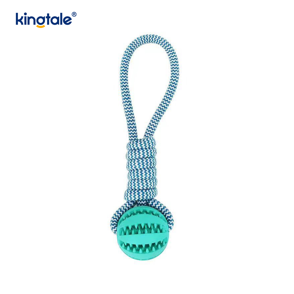Balle de friandises en caoutchouc à mâcher extractible pour chien, jouet pour l'intérieur et l'extérieur