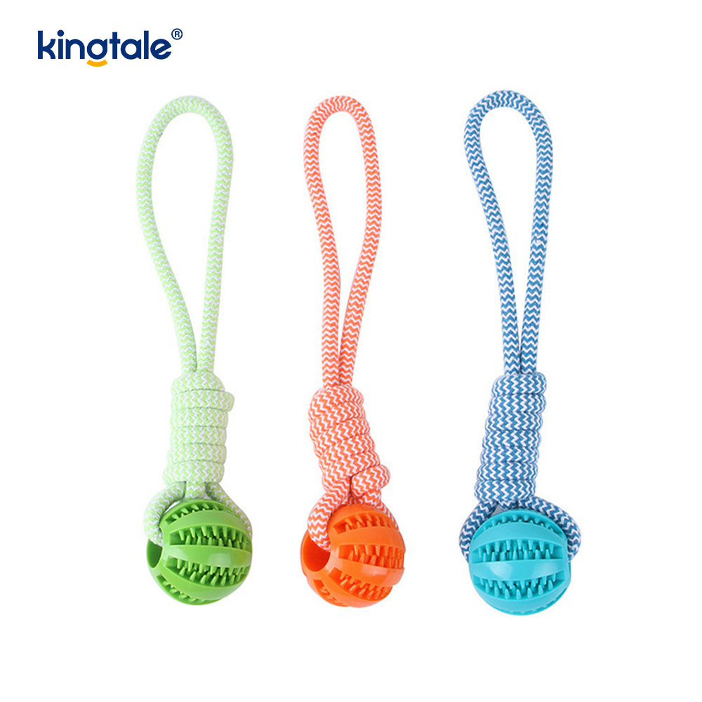 Balle de friandises en caoutchouc à mâcher extractible pour chien, jouet pour l'intérieur et l'extérieur