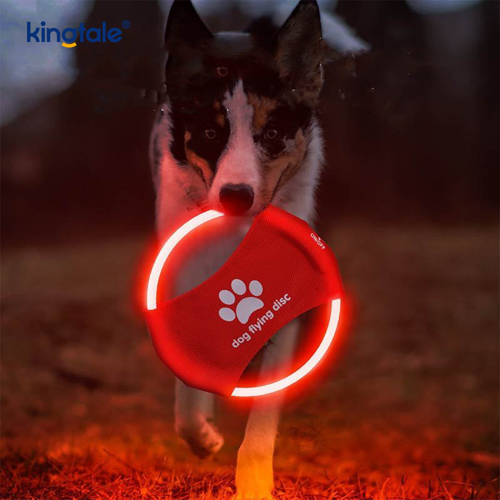 Frisbee lumineux pour animaux de compagnie, haute visibilité, entraînement pour animaux de compagnie, lancer, jeu pour l'exercice