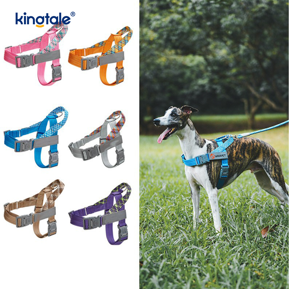 Harnais réfléchissant pour chien avec sangle en nylon tressé développée