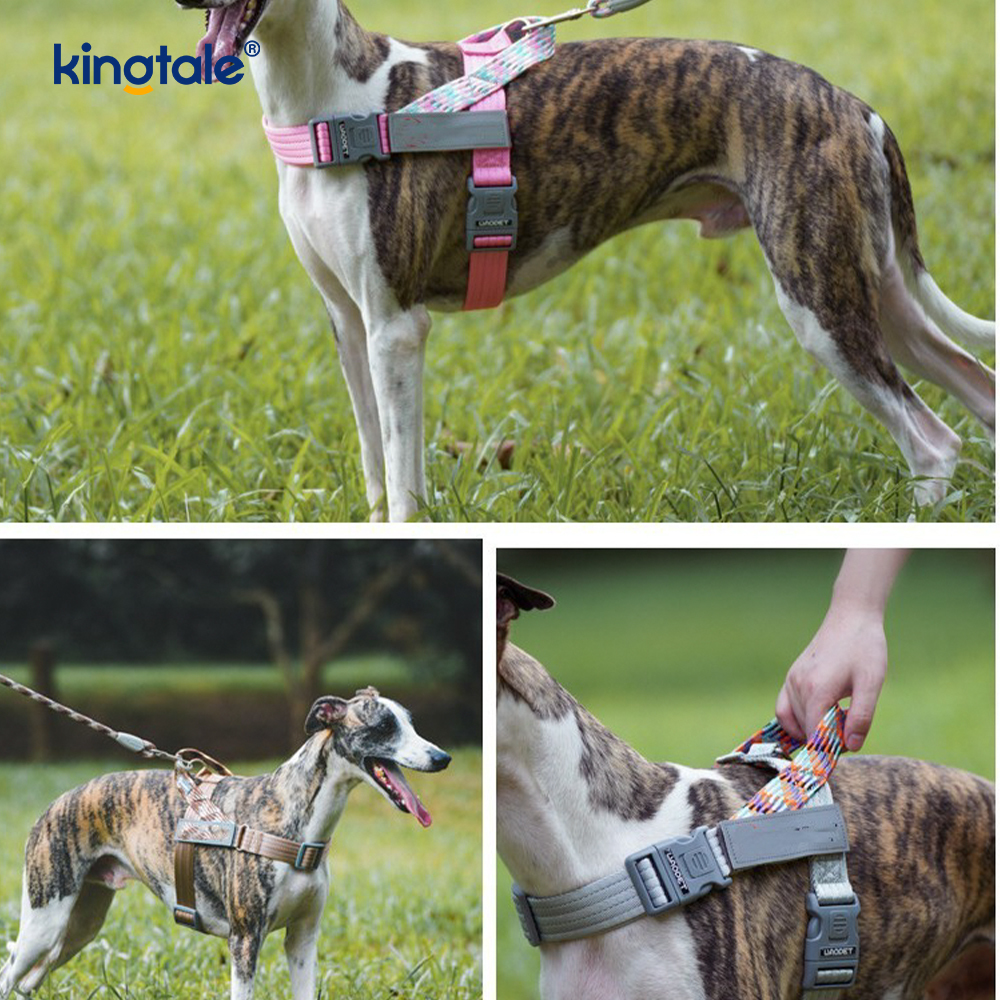 Harnais réfléchissant pour chien avec sangle en nylon tressé développée