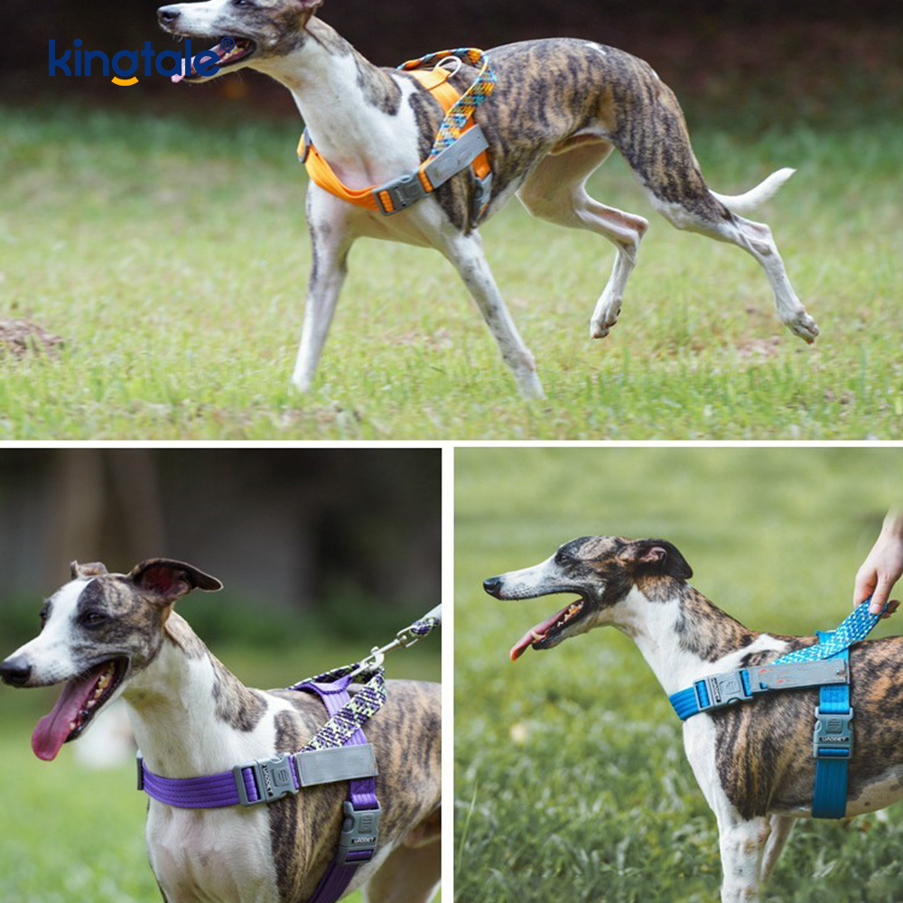 Harnais réfléchissant pour chien avec sangle en nylon tressé développée