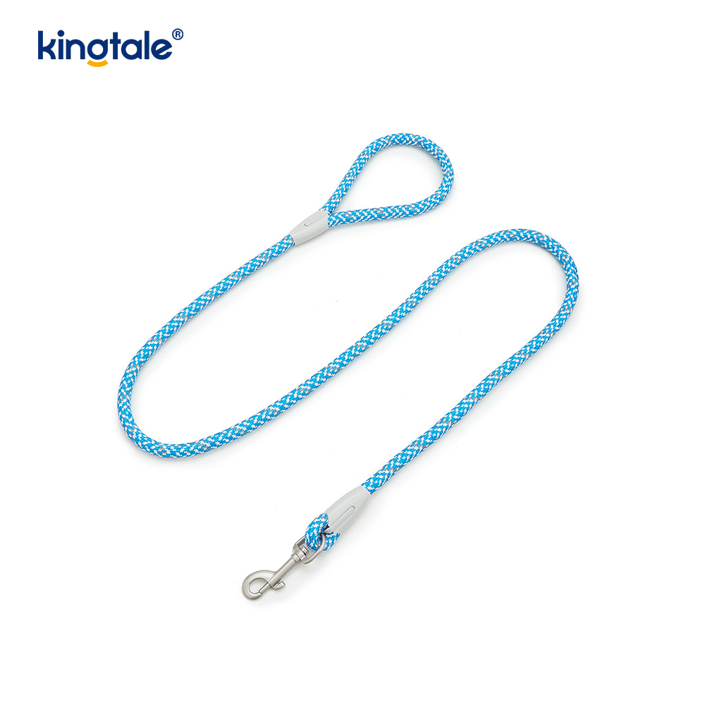 Harnais réfléchissant pour chien avec sangle en nylon tressé développée