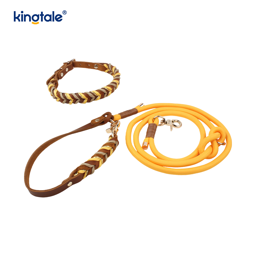 Colliers et laisses pour animaux de compagnie en cuir véritable Ensemble collier et laisse en corde pour chien