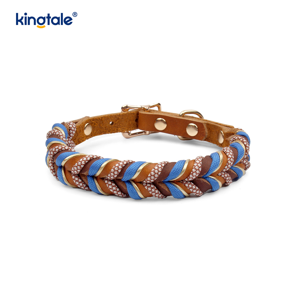 Colliers et laisses pour animaux de compagnie en cuir véritable Ensemble collier et laisse en corde pour chien
