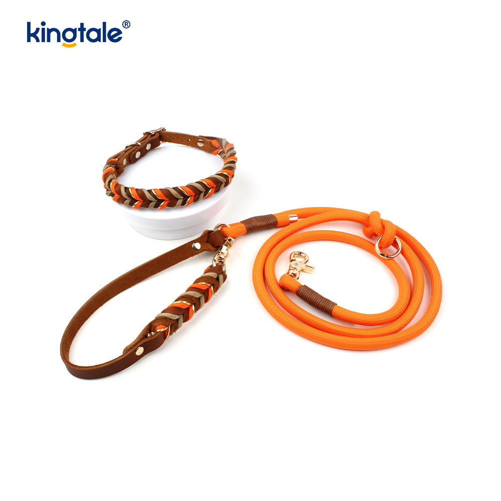 Colliers et laisses pour animaux de compagnie en cuir véritable Ensemble collier et laisse en corde pour chien
