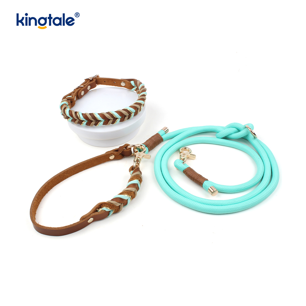 Colliers et laisses pour animaux de compagnie en cuir véritable Ensemble collier et laisse en corde pour chien