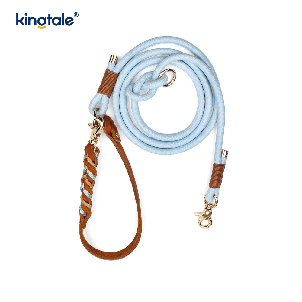 Colliers et laisses pour animaux de compagnie en cuir véritable Ensemble collier et laisse en corde pour chien