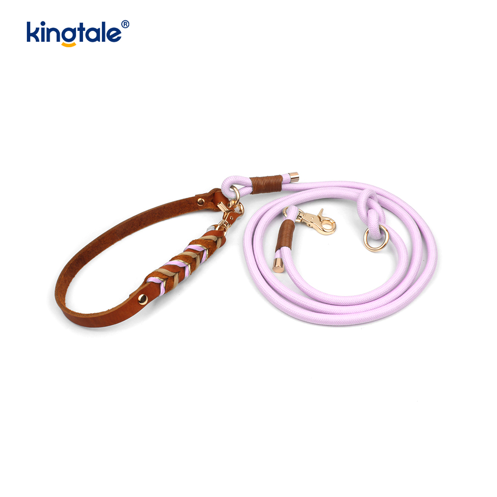 Colliers et laisses pour animaux de compagnie en cuir véritable Ensemble collier et laisse en corde pour chien