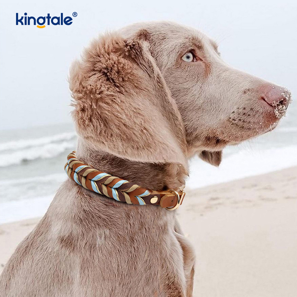 Colliers et laisses pour animaux de compagnie en cuir véritable Ensemble collier et laisse en corde pour chien