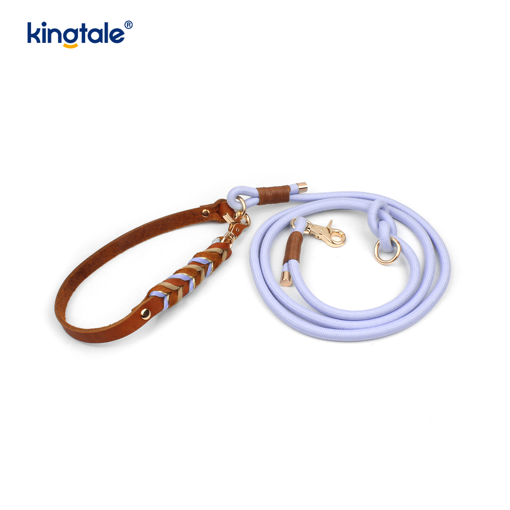 Colliers et laisses pour animaux de compagnie en cuir véritable Ensemble collier et laisse en corde pour chien