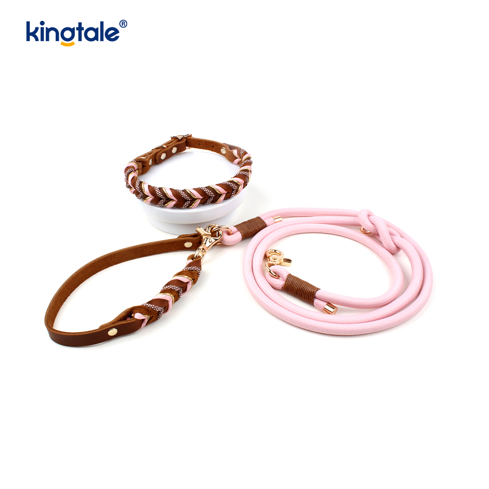 Colliers et laisses pour animaux de compagnie en cuir véritable Ensemble collier et laisse en corde pour chien