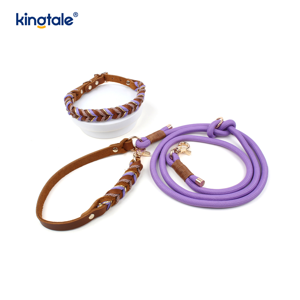 Colliers et laisses pour animaux de compagnie en cuir véritable Ensemble collier et laisse en corde pour chien