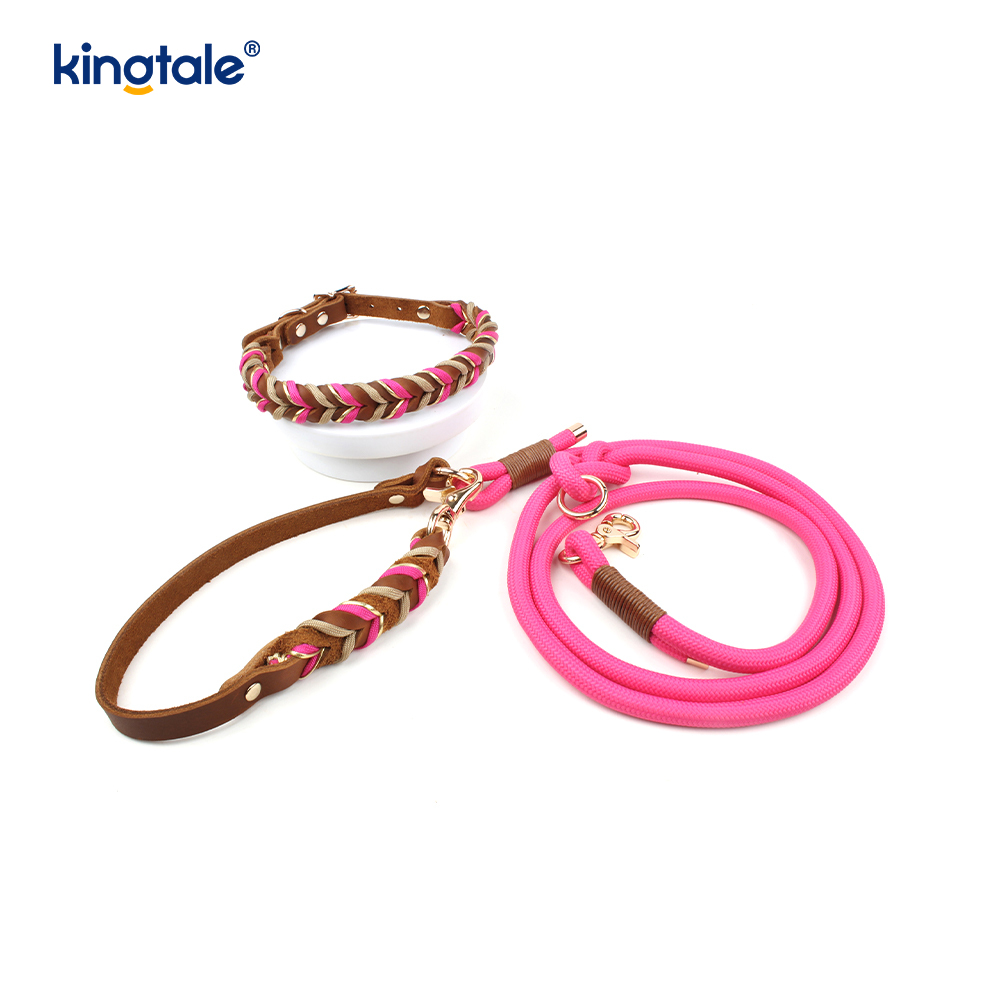 Colliers et laisses pour animaux de compagnie en cuir véritable Ensemble collier et laisse en corde pour chien