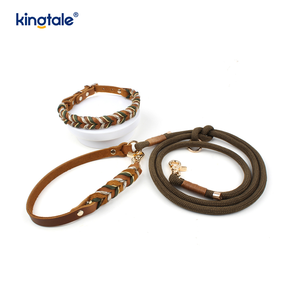 Colliers et laisses pour animaux de compagnie en cuir véritable Ensemble collier et laisse en corde pour chien