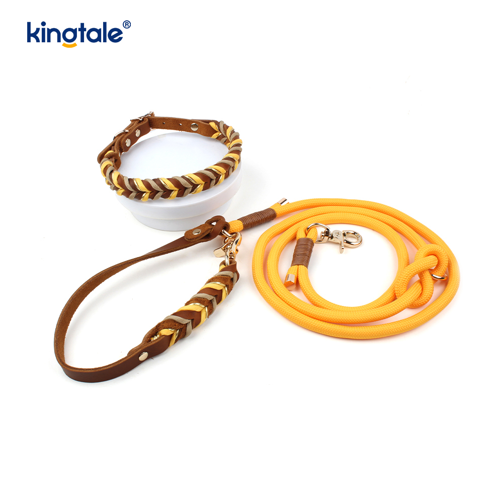 Colliers et laisses pour animaux de compagnie en cuir véritable Ensemble collier et laisse en corde pour chien