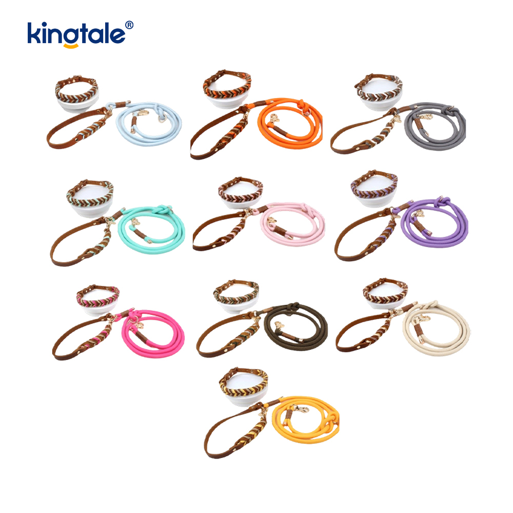 Colliers et laisses pour animaux de compagnie en cuir véritable Ensemble collier et laisse en corde pour chien