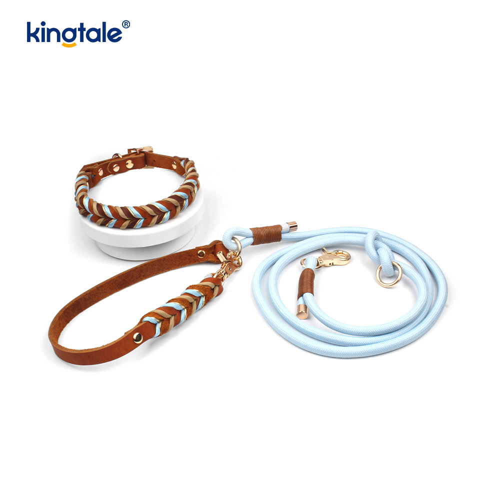 Colliers et laisses pour animaux de compagnie en cuir véritable Ensemble collier et laisse en corde pour chien