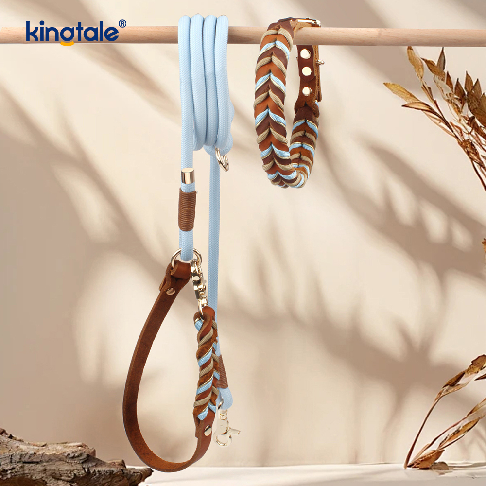 Colliers et laisses pour animaux de compagnie en cuir véritable Ensemble collier et laisse en corde pour chien