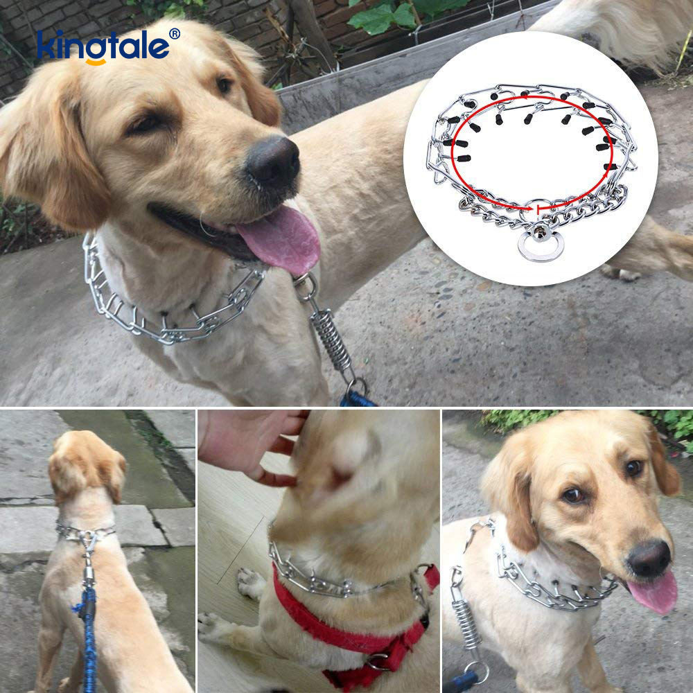 Colliers étrangleurs pour animaux de compagnie, en acier au carbone, à griffes métalliques, collier d'entraînement pour chiens