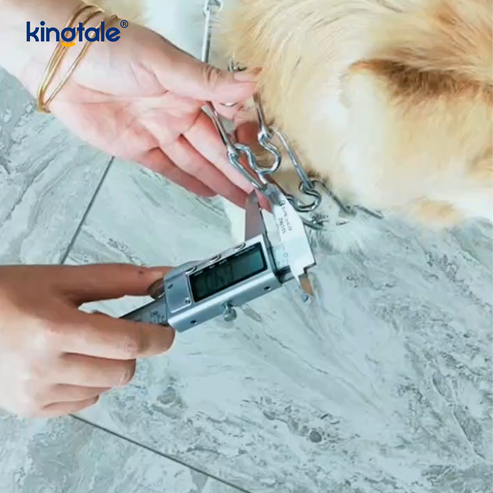 Colliers étrangleurs pour animaux de compagnie, en acier au carbone, à griffes métalliques, collier d'entraînement pour chiens