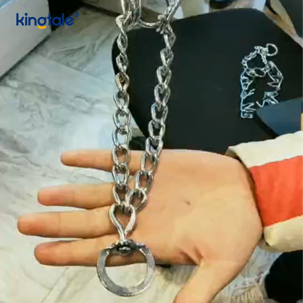 Colliers étrangleurs pour animaux de compagnie, en acier au carbone, à griffes métalliques, collier d'entraînement pour chiens