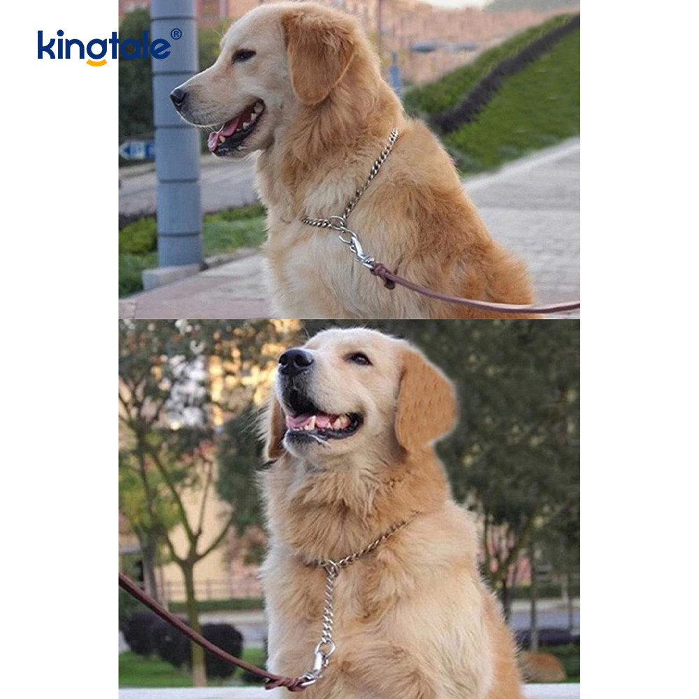 Chaîne lourde de chaîne de glissement de collier d'étranglement de chien de formation en métal pour des chiens